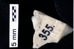 Foto (Detailansicht) von Decapoda indet. (NHMW-GEO-1990-0041-0355)